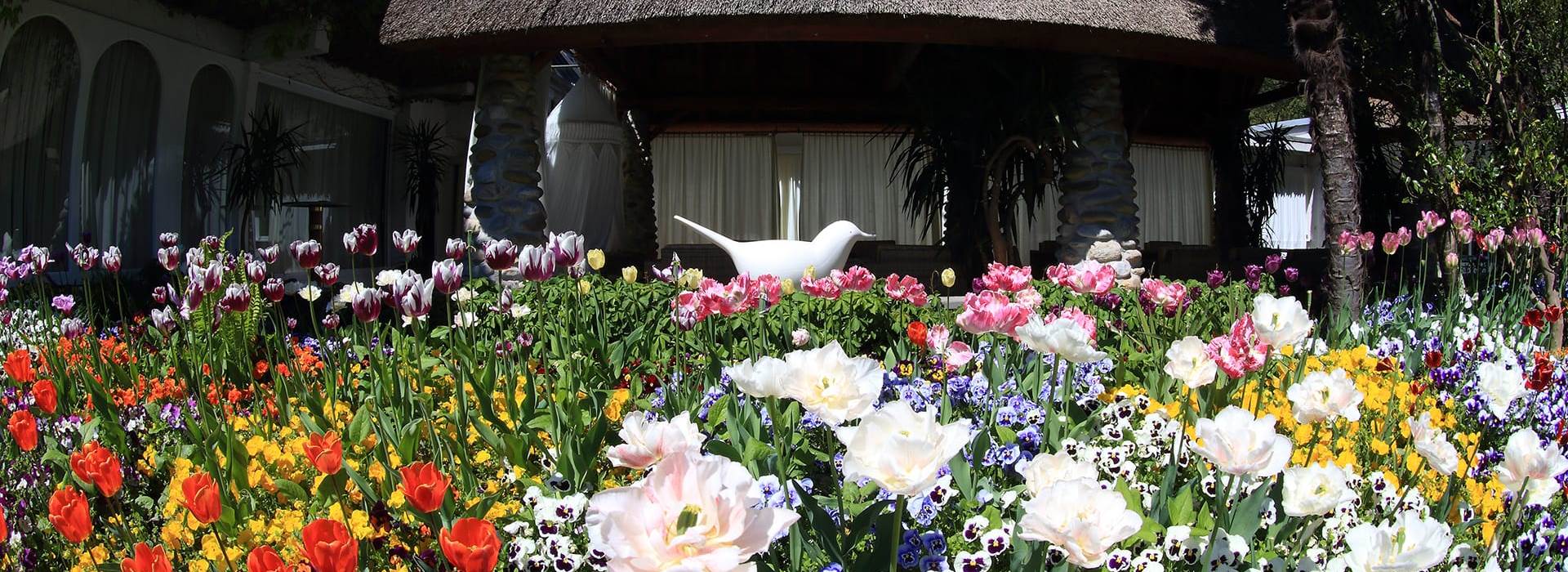 albergo-losone-spa-4-stelle-lago-maggiore-header4