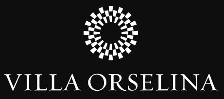 logo villa orselina